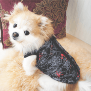 Winter Warm Pet Clothes for Small Dogs 0 CovenantHomemaking 